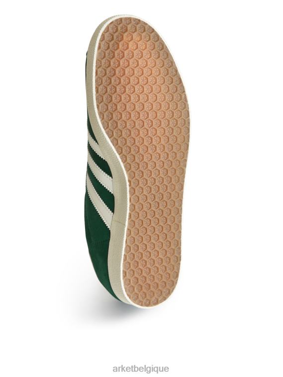 ARKET adidas gazelle Hommes vert T46DR1257 chaussure